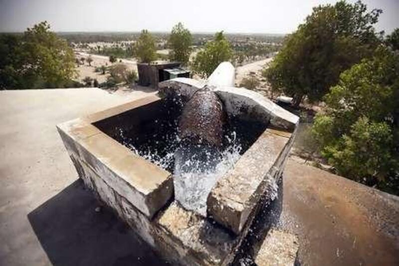 Water flows into a holding tank at Ajban Farms in Abu Dhabi.