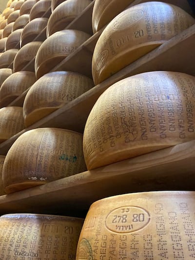 Wheels of Parmigiano Reggiano on display at Caseificio San Bernardino dairy, on the outskirts of Parma. Farah Andrews / The National