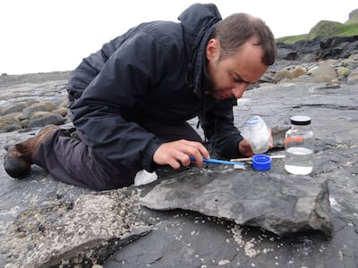 University of Edinburgh palaeontologist Steve Brusatte works to conserve part of the fossil of a Jurassic-period flying reptile on the Isle of Skye. Reuters