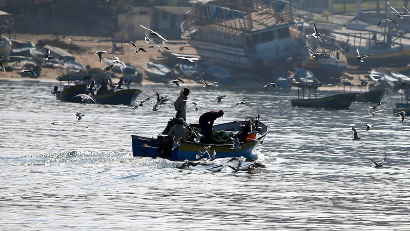 Gulls fly over fishing boats in the Gaza port. AP Photo
