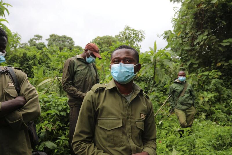 A group of park rangers wearing protective masks in the Virunga National Park. Peter Yeung