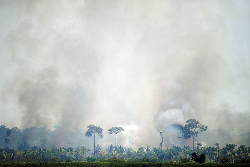 The Amazon region has lost 10 per cent of its native vegetation, mostly tropical rainforest, in almost four decades. AFP