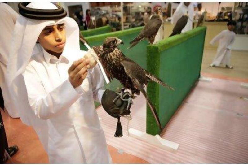 Ahmed Al Thani, 12, holds a falcon on display at the Adihex show at Adnec yesterday. Sammy Dallal / The National