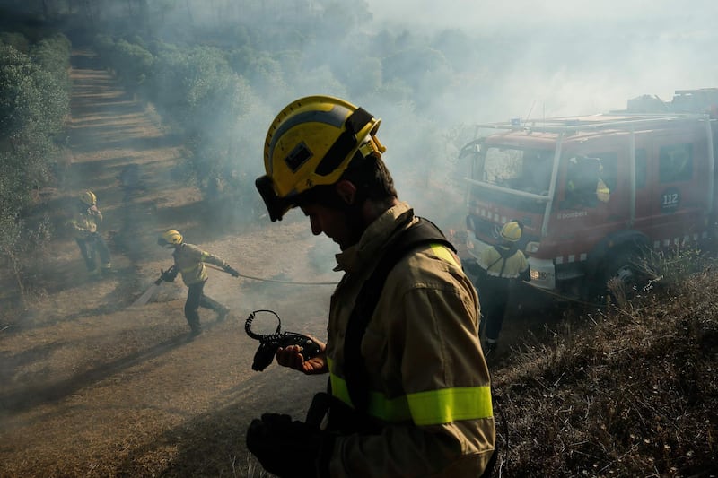 Firefighters try to control a forest fire. AFP