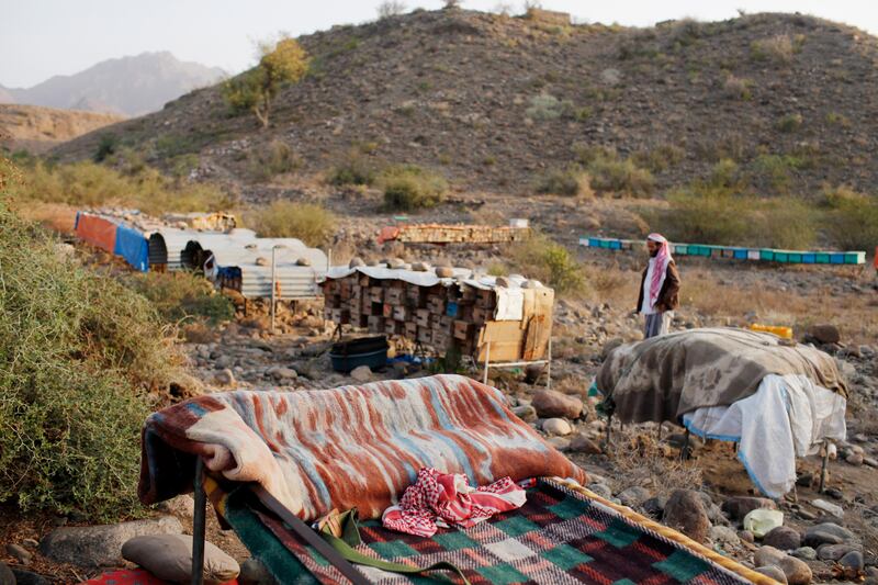 WADI ZABID, YEMEN - February 12, 2010: Sadeq Moushed, 35, inspects his beehives in Wadi Zabid, Yemen.
( Ryan Carter / The National )

*** for honey story by Hugh Naylor for M Magazine ***



