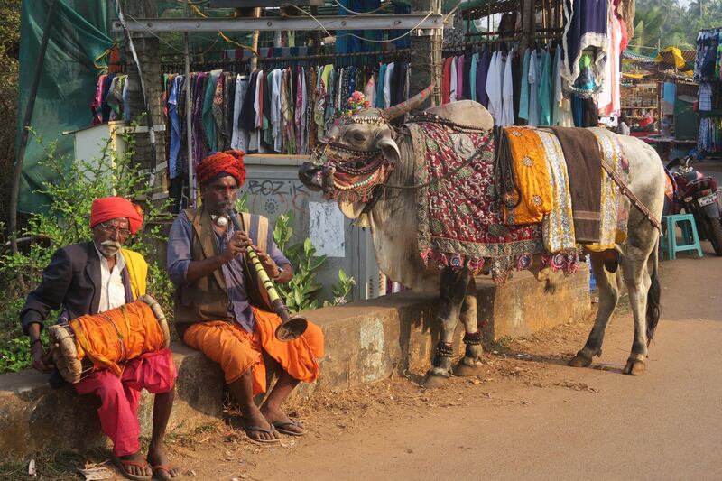 A typical street scene in Goa. Pixabay