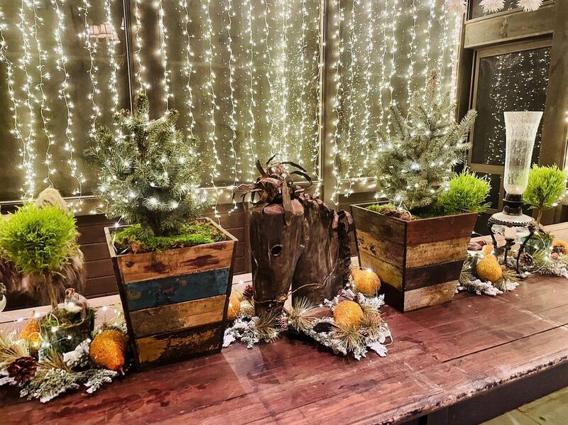 TV chef and talk show host Rachael Ray showed off some of her decorations in her New York home. 'Sneak peek at holiday on the back porch,' she wrote, showcasing plenty of twinkling lights. Instagram