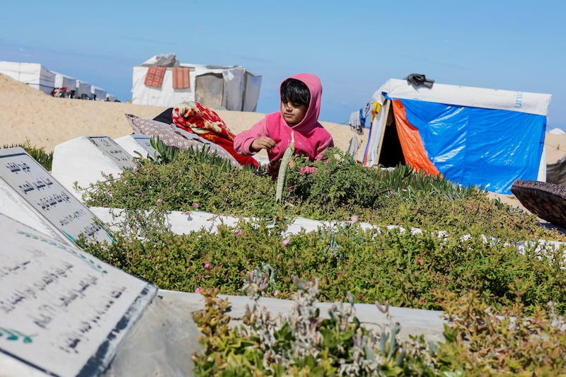A displaced Palestinian girl, who fled her house due to Israeli strikes, arranges plants on a grave in a cemetery where she shelters, amid the ongoing conflict between Israel and Hamas, in Rafah in the southern Gaza Strip. Reuters