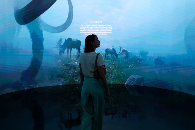 An attendee watches a projection at the Pleistocene Park pavilion in the Technology and Innovation hub within the Green Zone on the opening day of the COP28 climate conference at Expo City in Dubai, United Arab Emirates, on November 30, 2023. Bloomberg