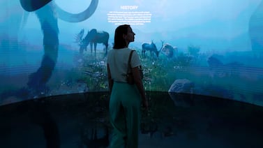 An attendee watches a projection at the Pleistocene Park pavilion in the Technology and Innovation hub within the Green Zone on the opening day of the COP28 climate conference at Expo City in Dubai, United Arab Emirates, on November 30, 2023. Bloomberg