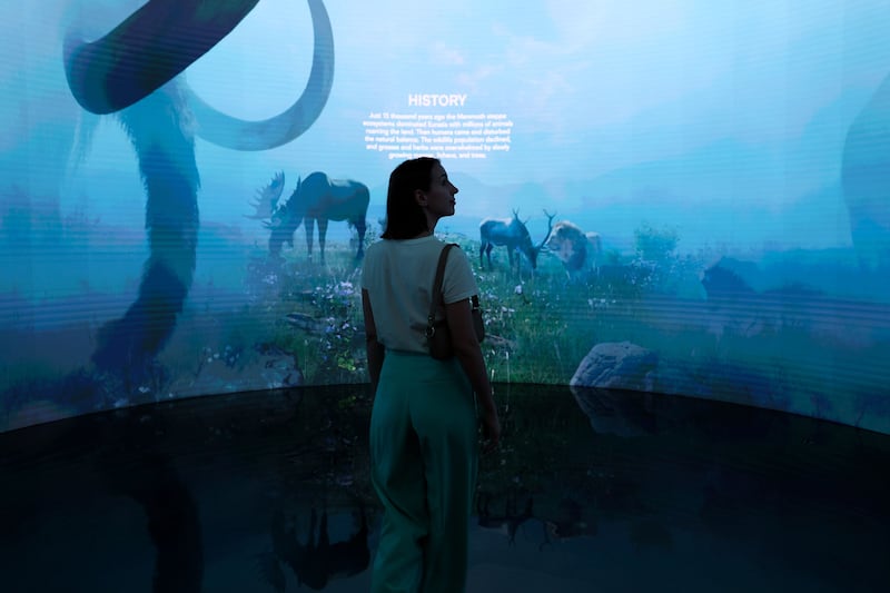An attendee watches a projection at the Pleistocene Park pavilion in the Technology and Innovation hub within the Green Zone on the opening day of the COP28 climate conference at Expo City in Dubai, United Arab Emirates, on November 30, 2023. Bloomberg