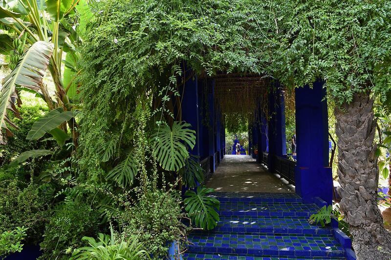 MARRAKECH, MOROCCO - SEPTEMBER 12:  General views of Jardin Majorelle on September 12, 2014 in Marrakech, Morocco.  (Photo by Christopher Lee/Getty Images)