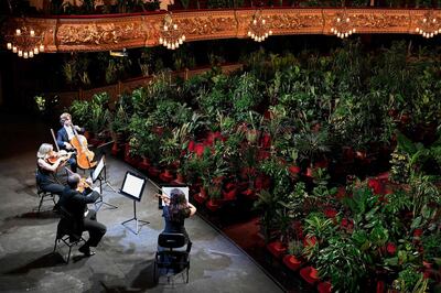 The Uceli Quartet perform for an audience made of plants during a concert created by Spanish artist Eugenio Ampudia and that will be later streamed to mark the reopening of the Liceu Grand Theatre in Barcelona on June 22, 2020 following a national lockdown to stop the spread of the novel coronavirus. / AFP / LLUIS GENE

