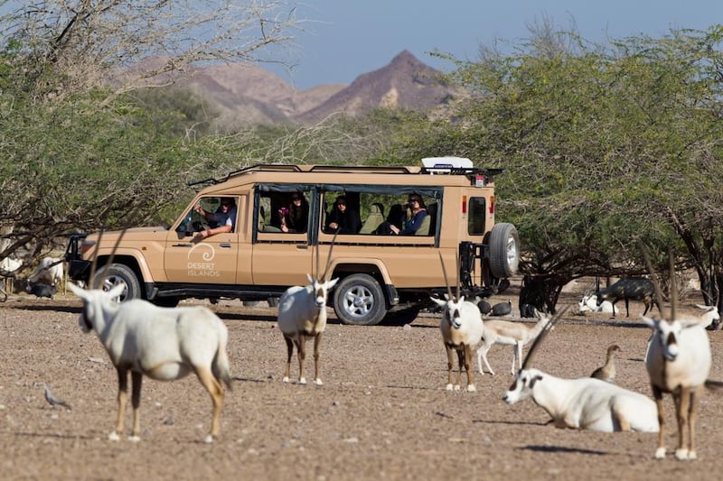 Sir Bani Yas Island has been selected as one of the world’s Top 40 Holiday Hotspots for 2014 by The Guardian, a UK newspaper, making it the only destination in the Arabian Gulf to be featured on the list.  Photo Courtesy-Martin Pfeiffer