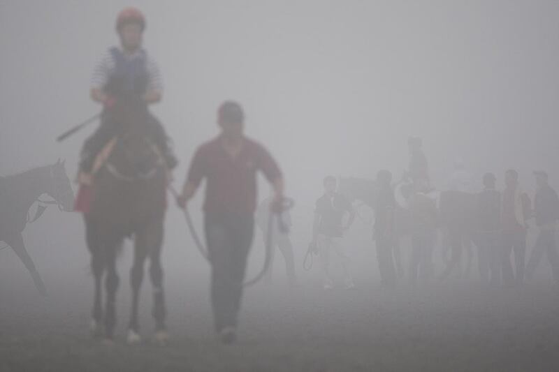 Horses wait in the fog to train at Meydan Racecourse in Dubai on March 25, 2011. Andrew Henderson / The National