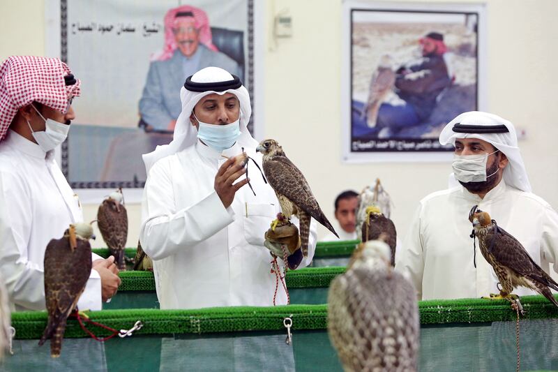 Kuwaitis check the falcons on display.