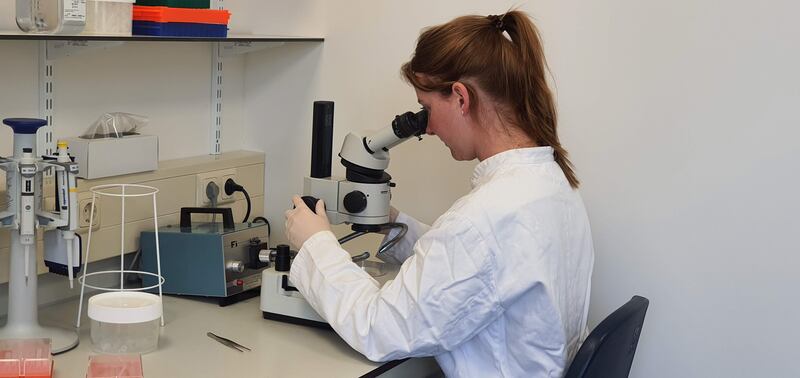 A researcher at a laboratory in Wageningen University in the Netherlands that has delivered projects to save energy and reduce water consumption. Photo: Wageningen University & Research / Vincent Koperdraat