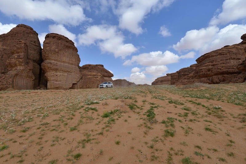 A car drives through the Sharaan Nature Reserve near the town of al-Ula in northwestern Saudi Arabia.   AFP