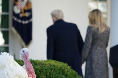 US President Donald Trump and First Lady Melania Trump depart after taking part in the annual Thanksgiving turkey pardon in the Rose Garden of the White House in Washington, DC on November 24, 2020. / AFP / MANDEL NGAN
