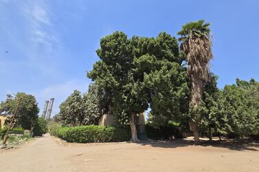 Built more than 70 years ago, Al Mosta’mara (The Colony) is a gated community in Cairo that is home to 7,000 to 8,000 people. Kamal Tabikha / The National