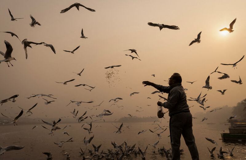 Feeding time for birds as smog hangs over the banks of the Yamuna river in New Delhi, India. Reuters