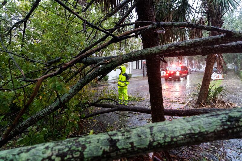 Age-old trees are always a problem when bad weather hits the historic town of Charleston. AP