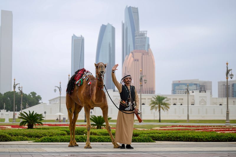 A camel rider participates in the state reception.  Omar Askar /  UAE Presidential Court