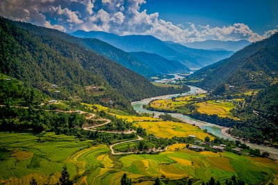 Punakha valley in Bhutan is famous for rice farming. Getty Images