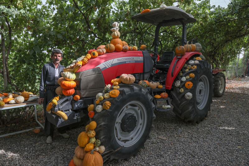 Kurdish-Iraqi farmer Azad Muhamad has become a social media star by sharing tips on growing fresh fruit and vegetables in the sun-parched country. All photos: AFP