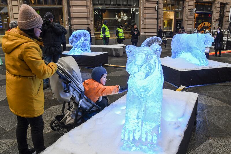 People look at ice sculptures of tigers as Finland's capital Helsinki celebrates the Lunar New Year. EPA