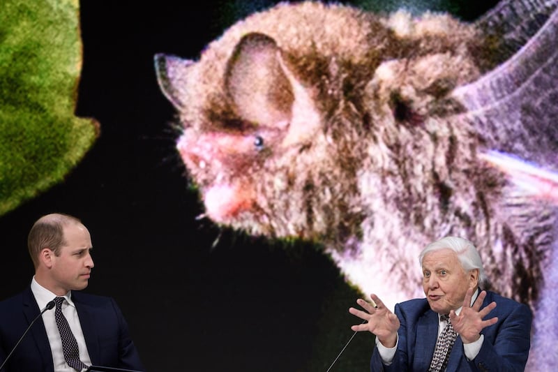 Sir David Attenborough reacts to a question from the Duke of Cambridge. AFP