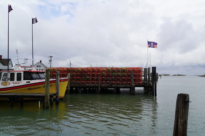 A Trump flag flies next to crab traps. 