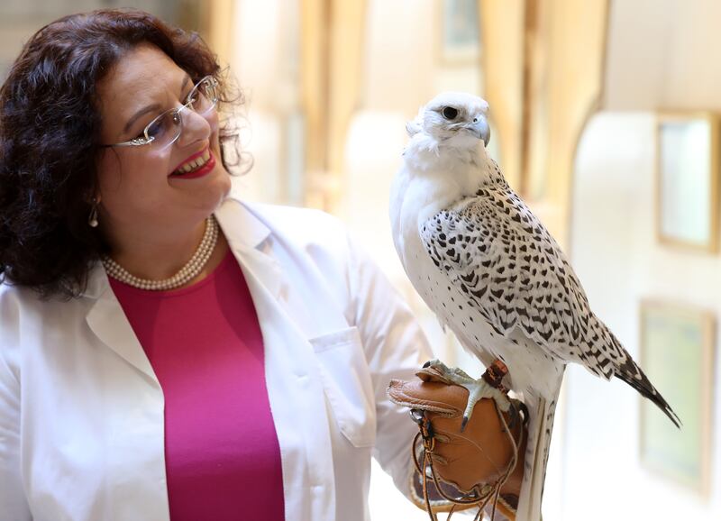 Dr Margit Muller, the 'falcon whisperer', has spent 22 years working at the Abu Dhabi Falcon Hospital nursing more than 11,500 birds a year back to good health. All photos: Chris Whiteoak / The National