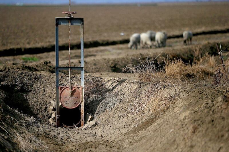 About 91 per cent of California was in severe drought as of last month, compared with 24 per cent a year earlier, and 68 per cent was rated extreme, which means major crop losses and widespread water shortages. Justin Sullivan / Getty Images / AFP