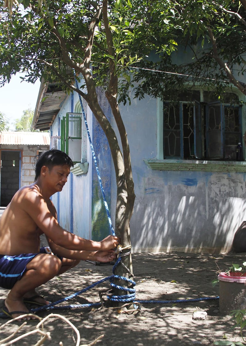 A resident secures the roof of his house to a guava tree in Candon City, Ilocos Sur. AFP