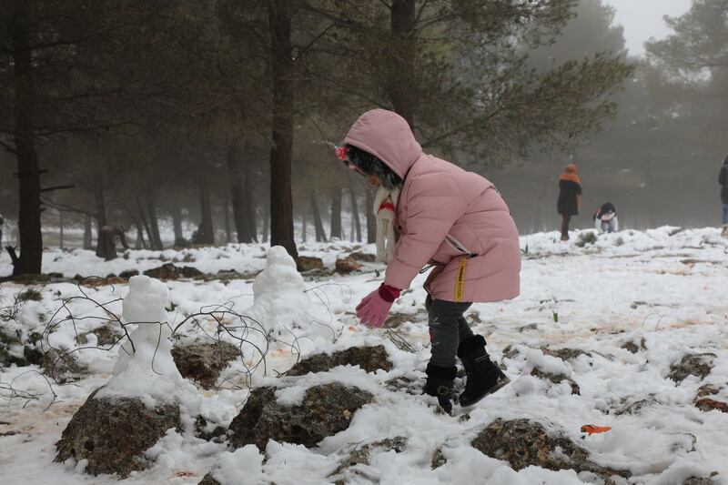 A girl starts to build a snowman in the forest.