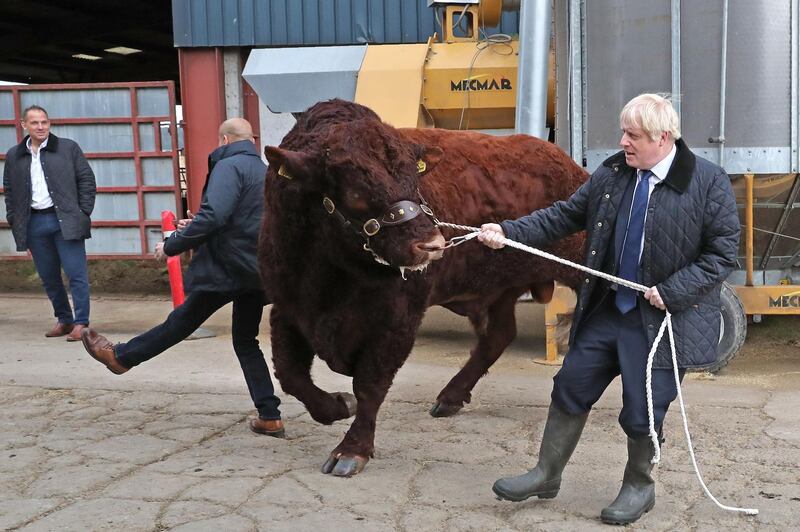 Britain's Prime Minister Boris Johnson tries to steer a bull during a visit to Darnford Farm in Banchory near Aberdeen in Scotland.  AFP