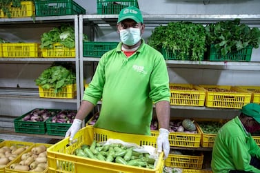Emirates Bio Farm at Al Ain say they have never been so busy since the start of the outbreak to produce more fruits and vegetables. Victor Besa / The National 