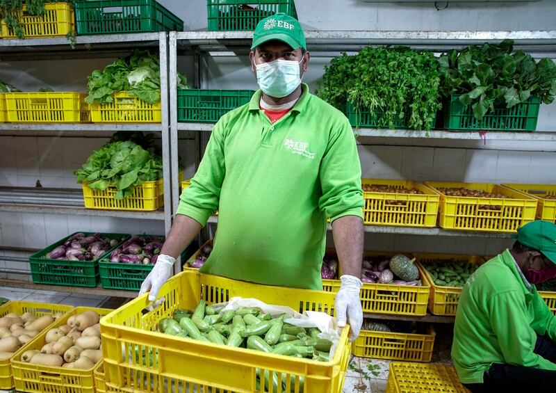 Abu Dhabi, United Arab Emirates, April 2, 2020.  Visit to a UAE farm, Emirates Bio Farm at Al Ain to learn about how they are dealing with coronavirus outbreak.  Workers arrange the newly hand picked vegetables from the farm fields.
Victor Besa / The National
Section:  NA
Reporter:  Dan Sanderson