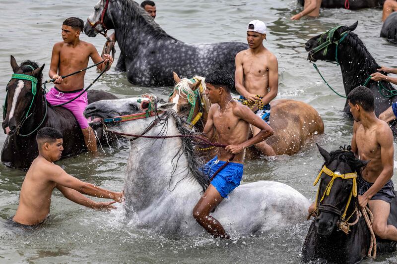 Moroccan Fantasia (tbourida) horsemen ride their horses in the Atlantic to cool off during the annual Moussem festival. AFP