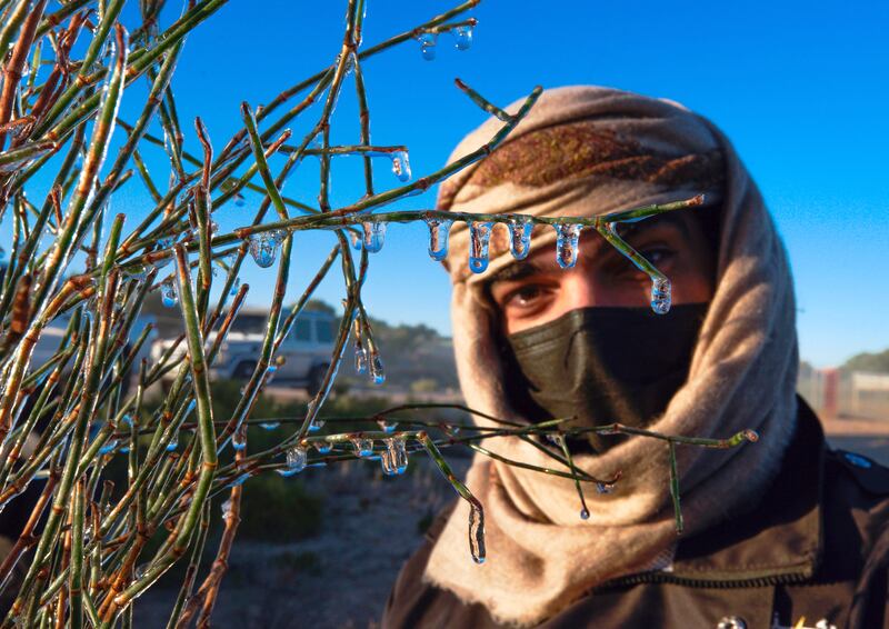 Fahad Mohammed of the UAE Storm Centre shows a build-up of ice on shrubs during low temperatures in the Emirates earlier this year. Photo: Victor Besa / The National