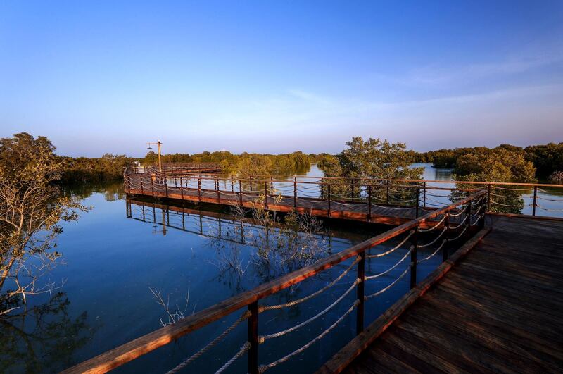 Abu Dhabi, United Arab Emirates, September 23, 2020.  Social distancing is conciously adhered to during the tour at Jubail Mangrove Park, Jubail Island, Abu Dhabi.
Victor Besa/The National
Section:  AC
Reporter:  Hayley Skirka