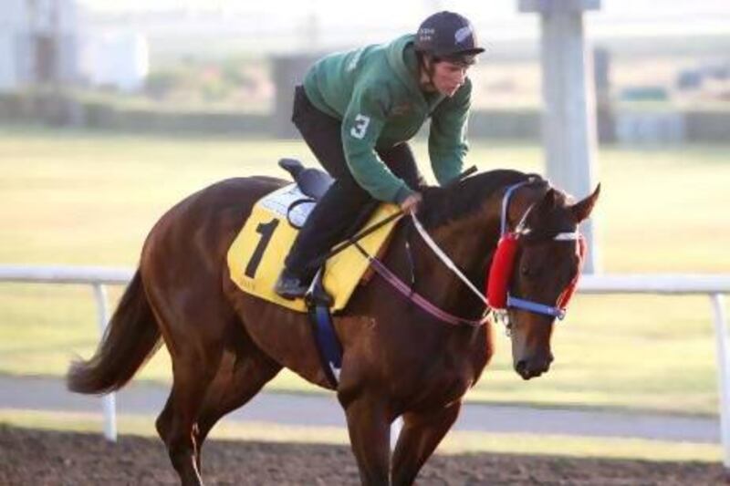 Ocean Park will be in the starting gates Saturday for the Dubai Duty Free. Jake Badger for The National