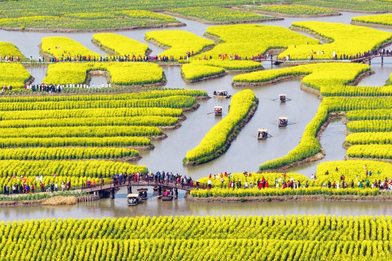 This photo taken on March 19, 2023 shows people watching blossoming rapeseed flowers at Xinghua Qianduo scenic area in Taizhou, in China's eastern Jiangsu province.  (Photo by AFP)  /  China OUT