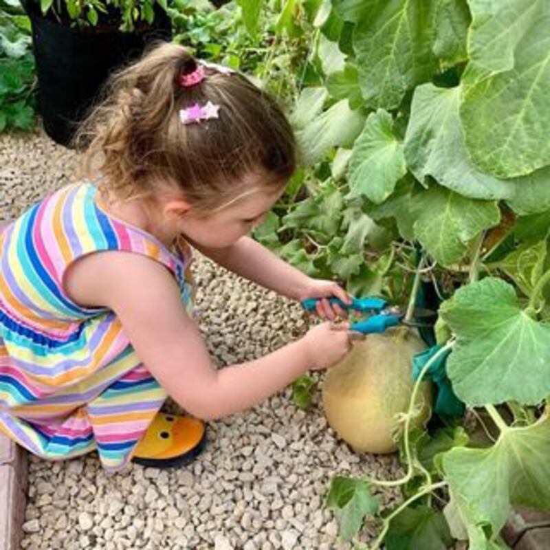 Amirah in her Arabian Ranches garden. Photo: amirah.and.jamies.garden / Instagram