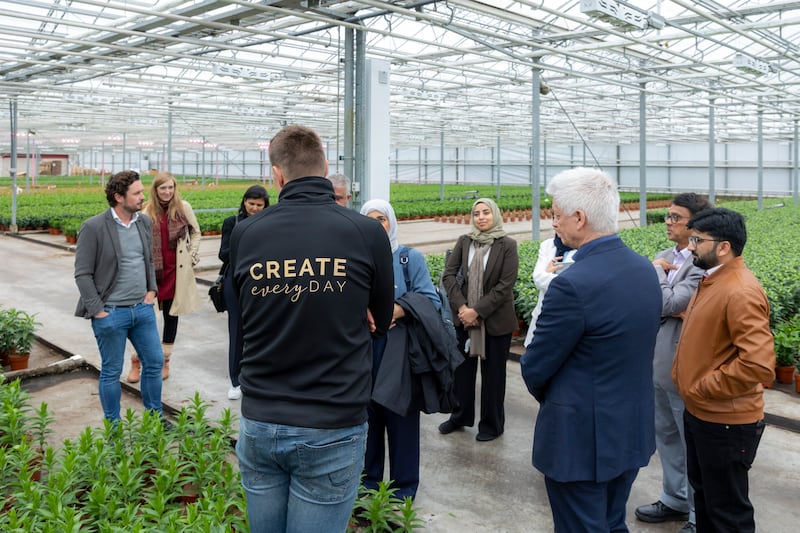 Variable lighting, LED lights that change colour recommended by university research students in the Netherlands have cut energy usage and improved the health of plants and flowers.
Photo: Rolf van Koppen  