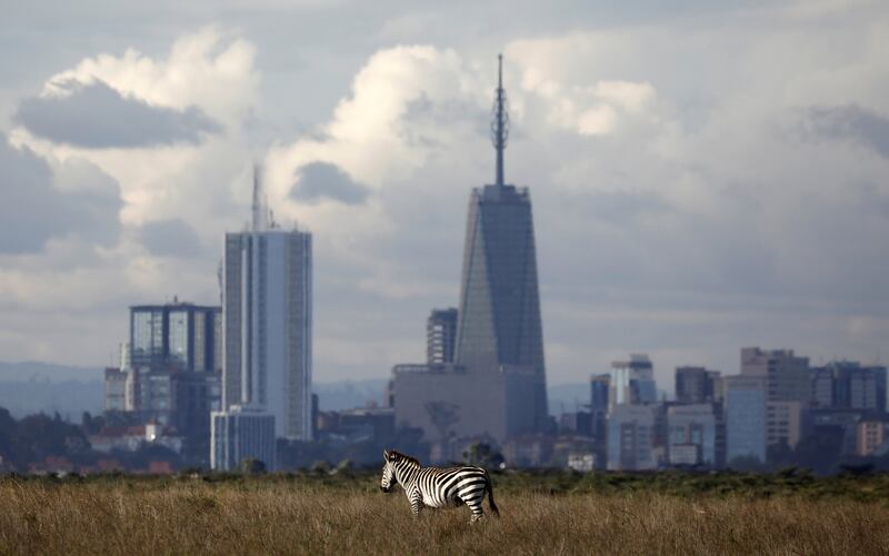 The Nairobi skyline is seen in the background as a zebra walks through the Nairobi National Park, near Nairobi, Kenya, December 3, 2018. REUTERS/Amir Cohen     TPX IMAGES OF THE DAY