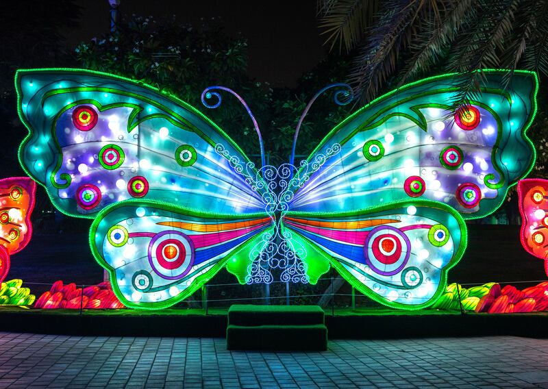 A beautiful butterfly, part of the Glowing Safari, lights up the night sky
