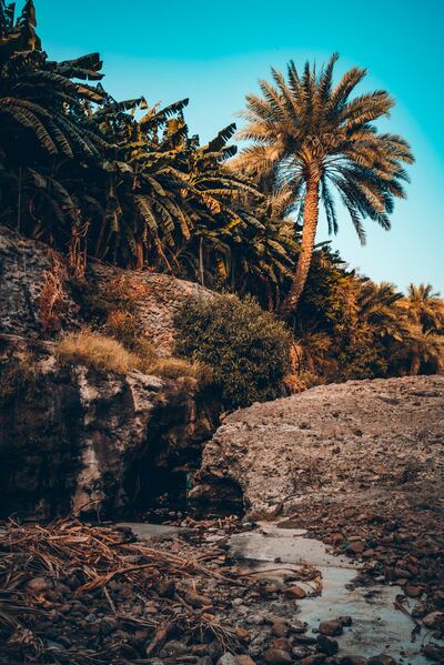 Wadi Abadilah in Fujairah. Photo: Kareem Mazhar