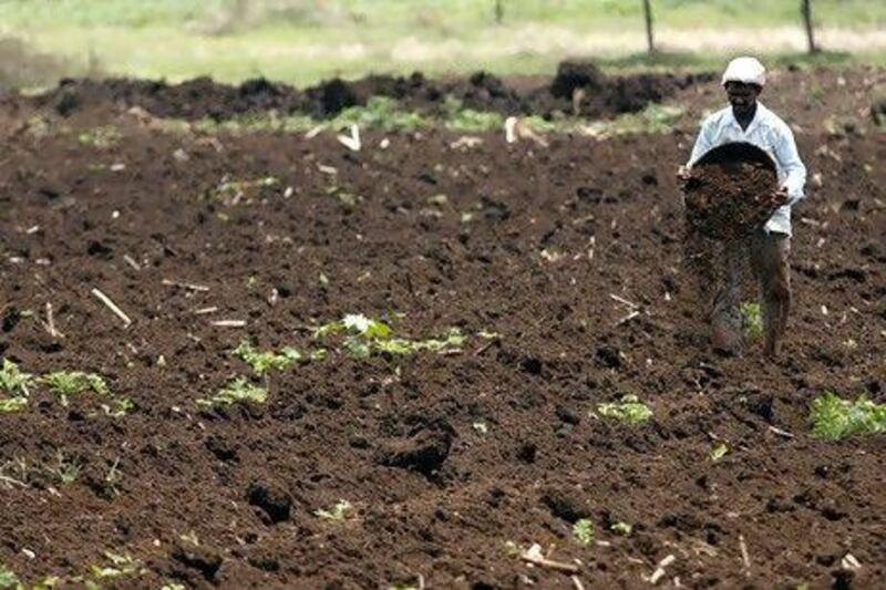 About 80 per cent of Bihar's population lives off agriculture.The state, which a few years ago seemed beyond rescue, is now regarded as a miracle economy, with the second-highest pace of growth among Indian states.